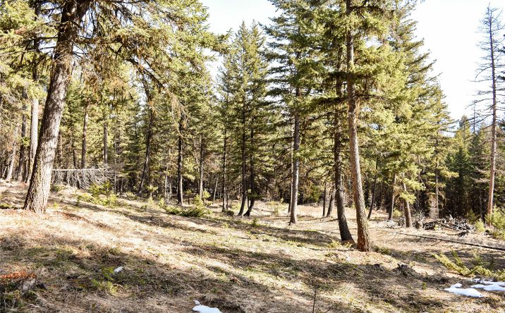 Pictures of Land property located at 270 Tomahawk Trail, Fortine, MT 59918 for sales - image #1