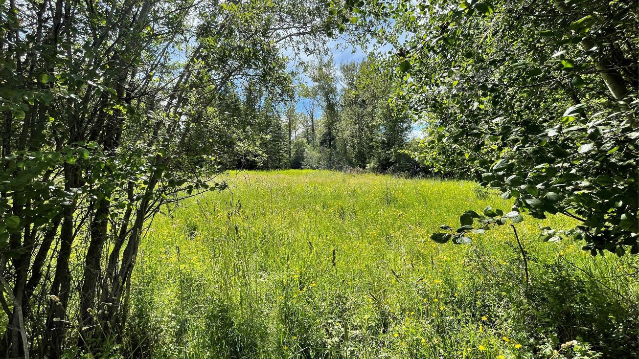 Parcels 1, Fortine, MT 59918