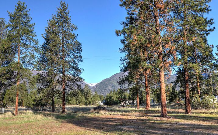 Pictures of Land property located at 5529 US HWY 93 N, Florence, MT 59833 for sales - image #1