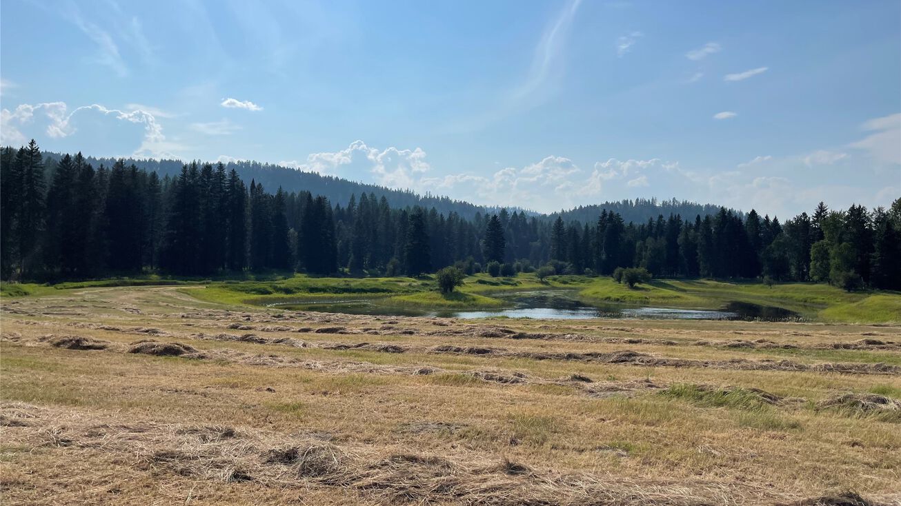 292 River Ranch Road, Whitefish, MT 59937