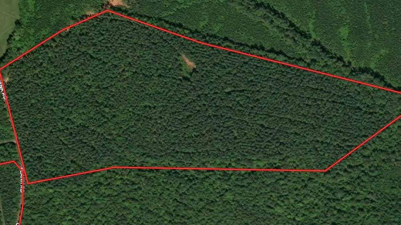 Plank Rd, Kenbridge, VA 23944