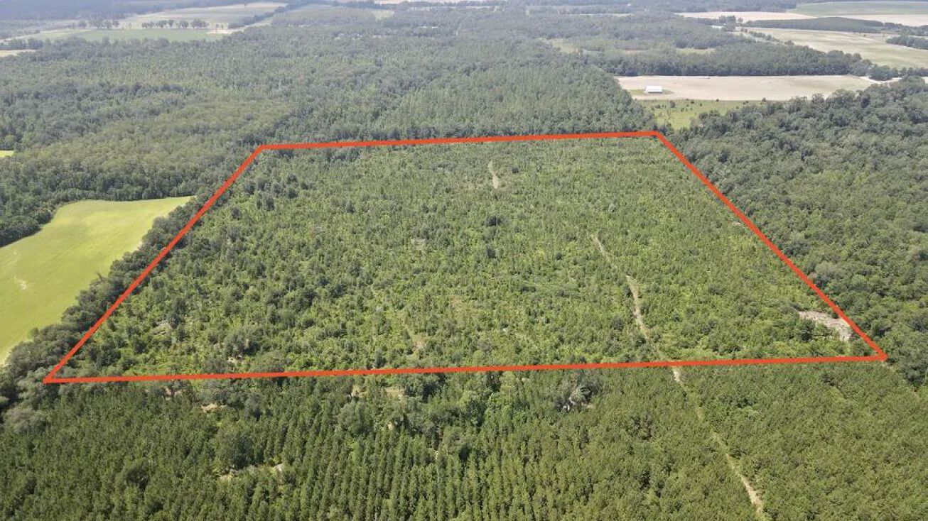 Malone St, Malone, FL 32445