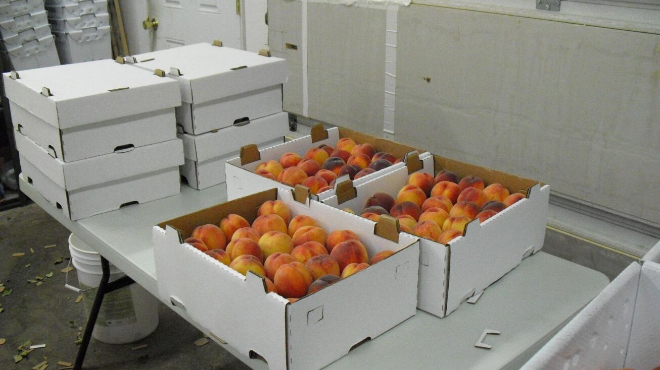 22246 Us Hwy 93, Rollins, MT 59931