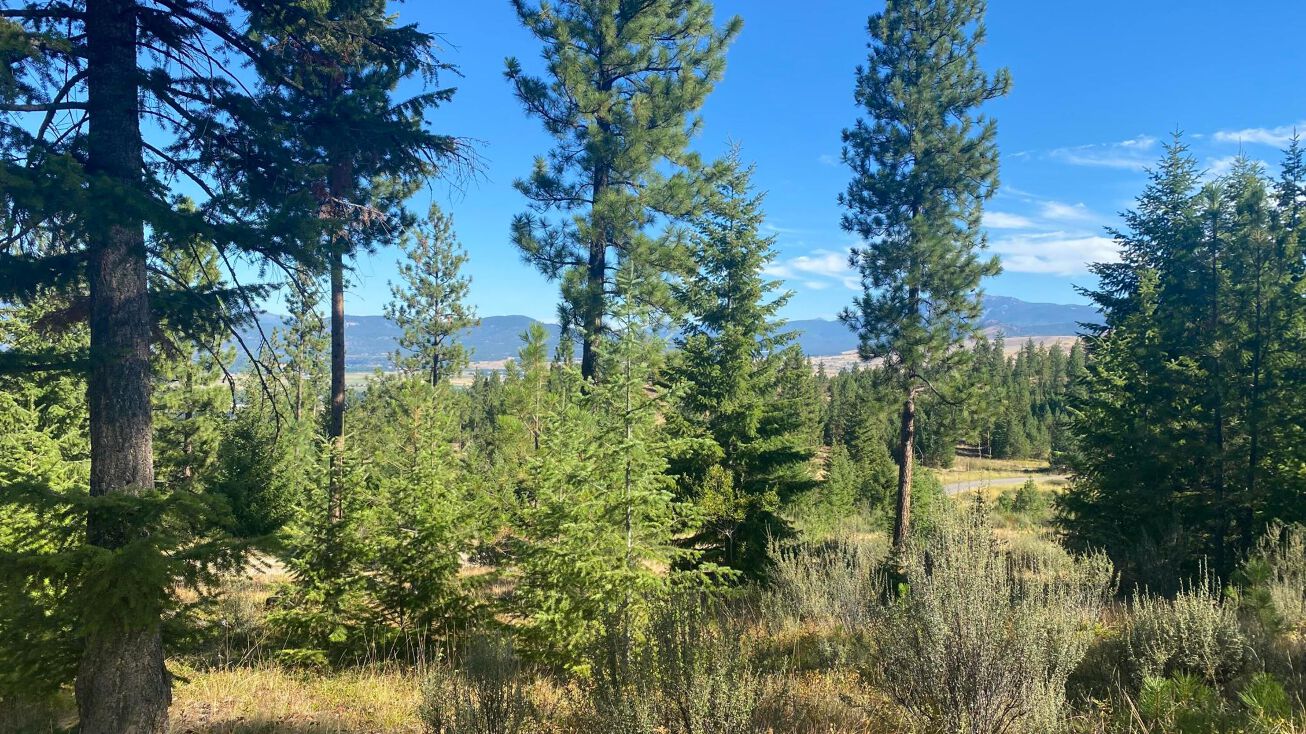 Lot 27 Bighorn Bluff, Plains, MT 59859