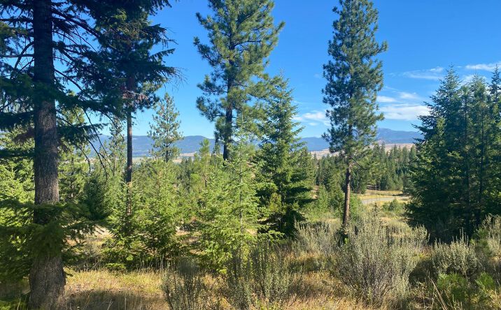 Pictures of Land property located at Lot 27 Bighorn Bluff, Plains, MT 59859 for sales - image #1