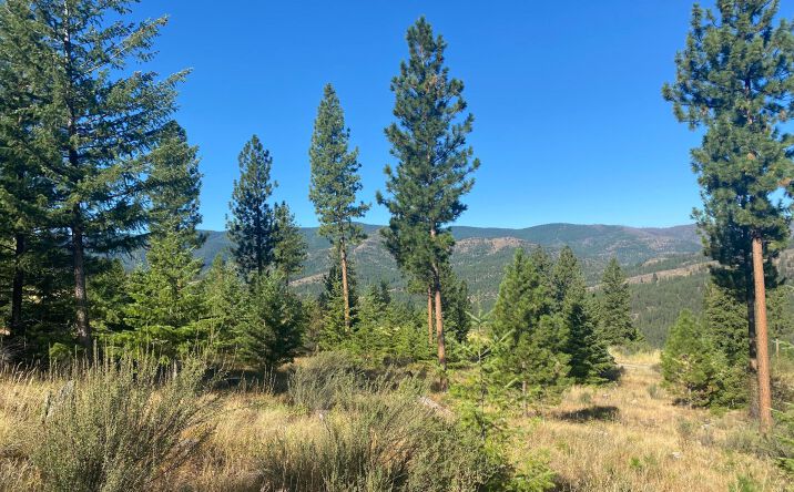 Pictures of Land property located at Lot 40 Bighorn Bluff Loop, Plains, MT 59859 for sales - image #1