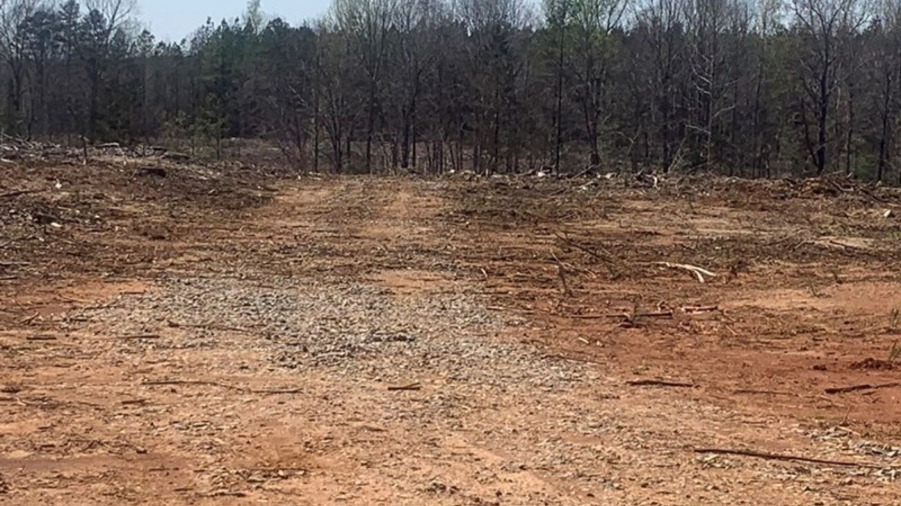 2104 Plank Road (114.9 AC), Kenbridge, VA 23944