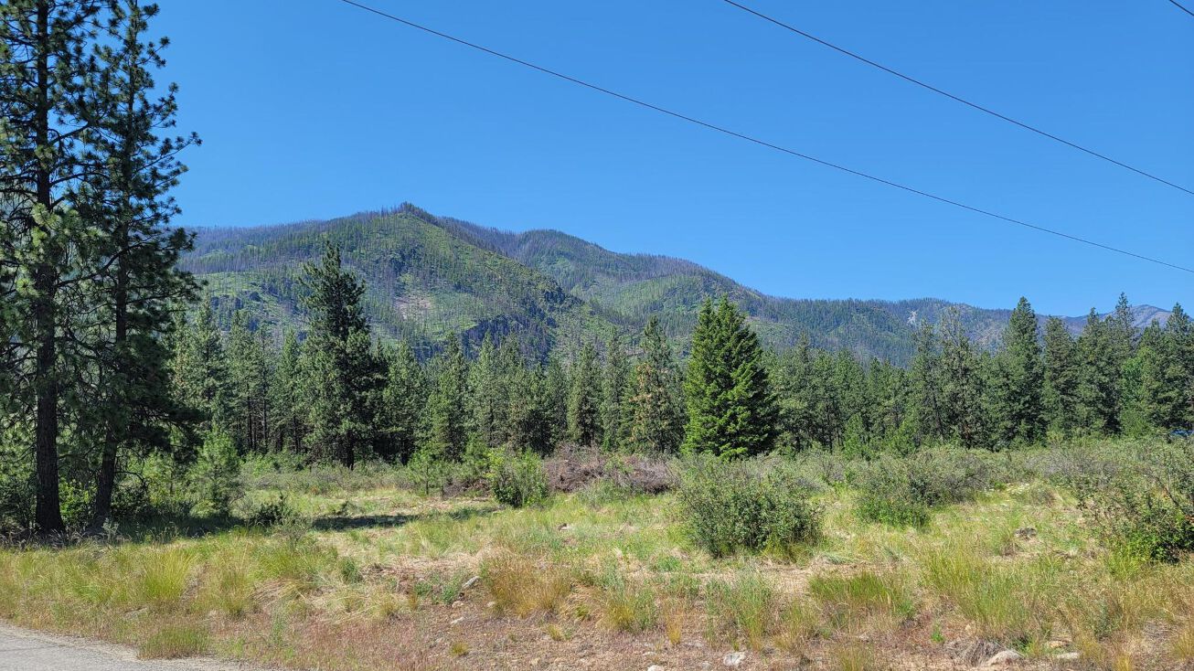 78 Panorama Road, Plains, MT 59859