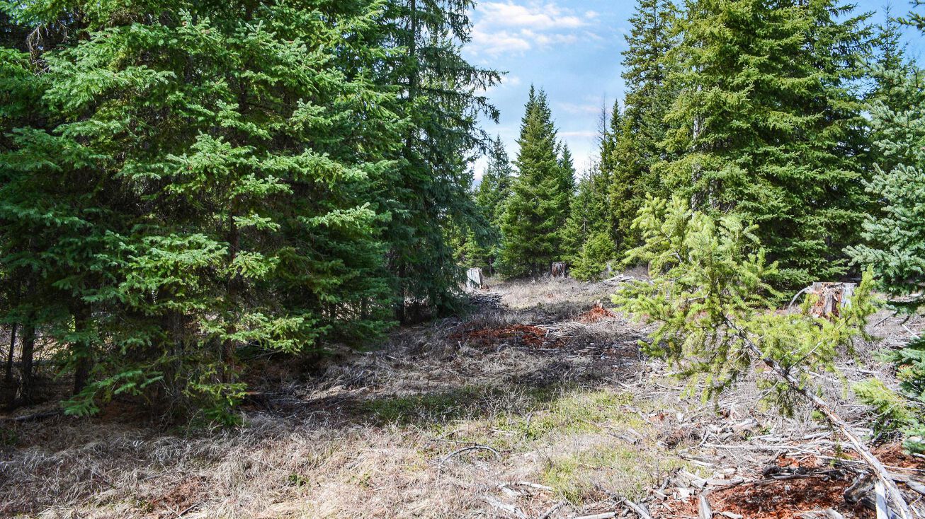 Lot 32 Meadow Peak Subdivision, Libby, MT 59923
