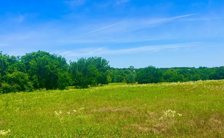 Pictures of Land property located at Lot 101 Sarra Ranch, Poolville, TX 76487 for sales - image #1