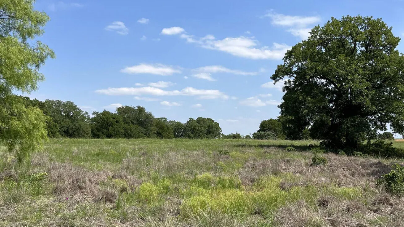 Lot 15 Arlow Rd, Poolville, TX 76487