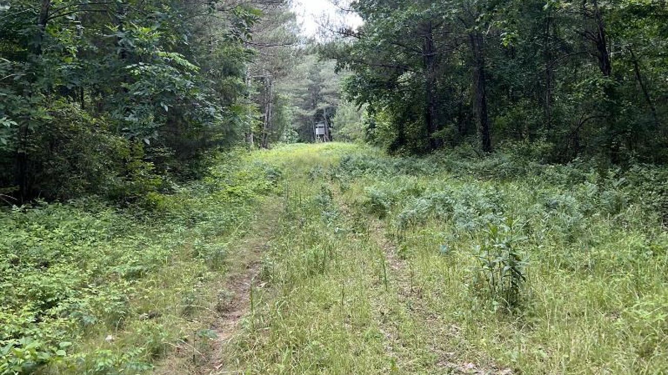 60 Acres, Scooba, MS 39358