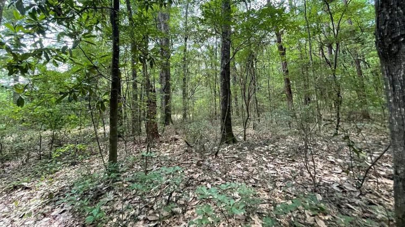 1.1 Acres in Yalobusha in Oakland, Oakland, MS 38948 | Crexi.com