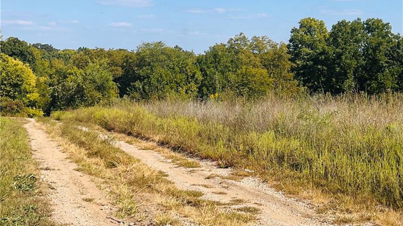 Cayuse Drive, Lathrop, MO 64465