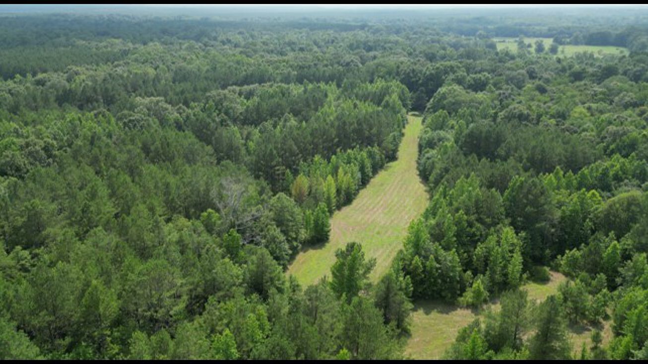 223 Acres in Holmes, Pickens, MS 39146