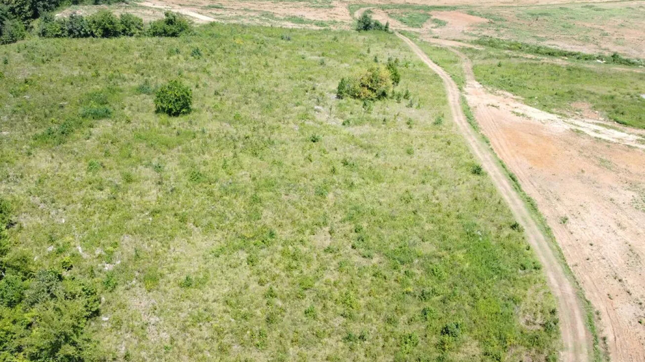 000 Mountain Star Rd, Littleville, AL 35654