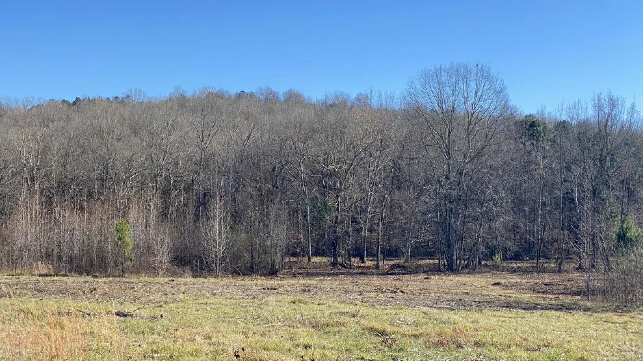 000 Mountain Star Rd, Littleville, AL 35654