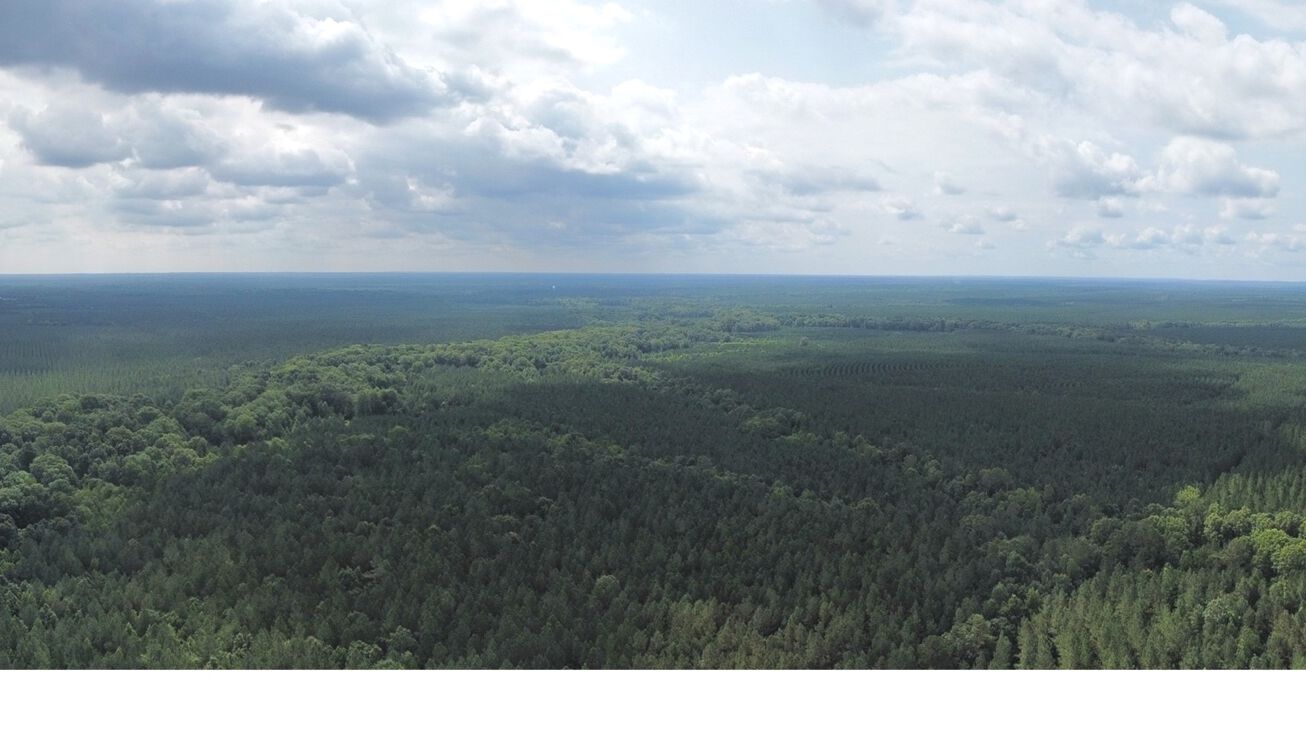 60.1 Acres in Kemper, Scooba, MS 39358