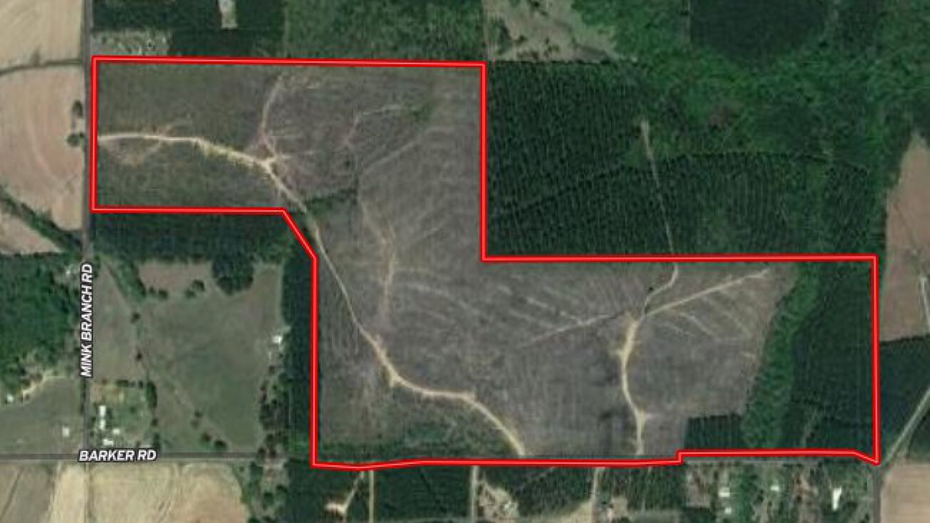 186± Acre Timberland Tract, Pelahatchie, MS 39145