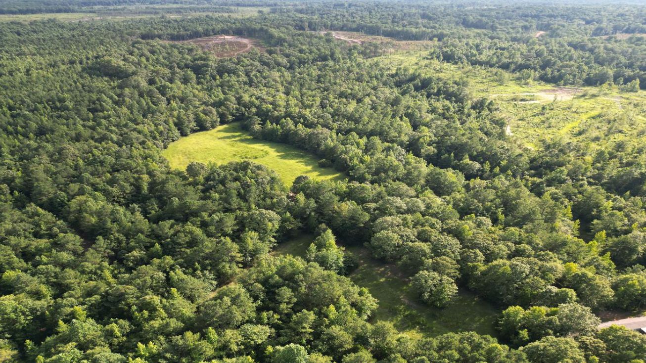 65 Acres in Neshoba, Collinsville, MS 39325