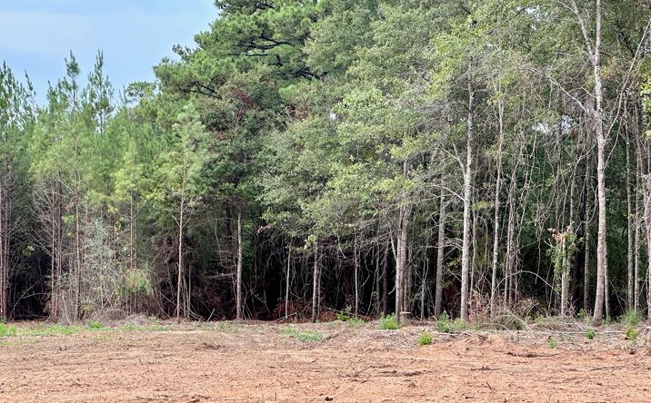 Pictures of Land property located at 000 Bates Ave, Purvis, MS 39475 for sales - image #1