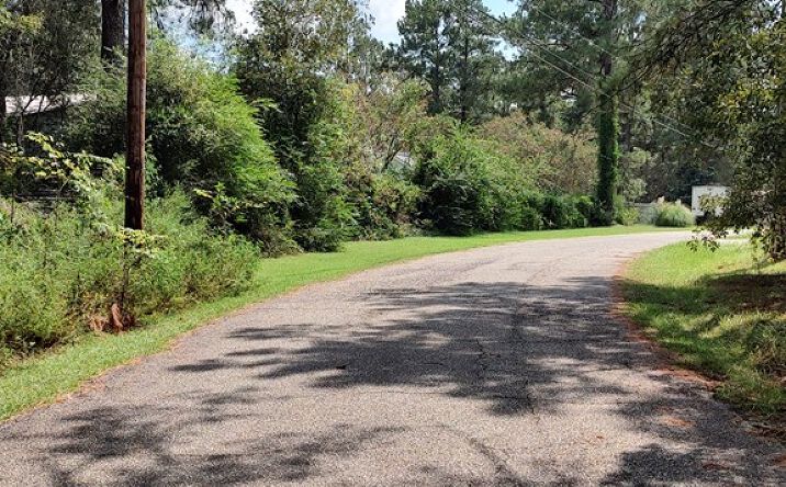 Pictures of Land property located at NHN  Covered Bridge Rd, Carriere, MS 39426 for sales - image #1