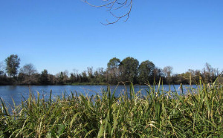 Jackson Sc Lot 36 Riverside Plantation Road, Jackson, SC 29831 | Crexi.com