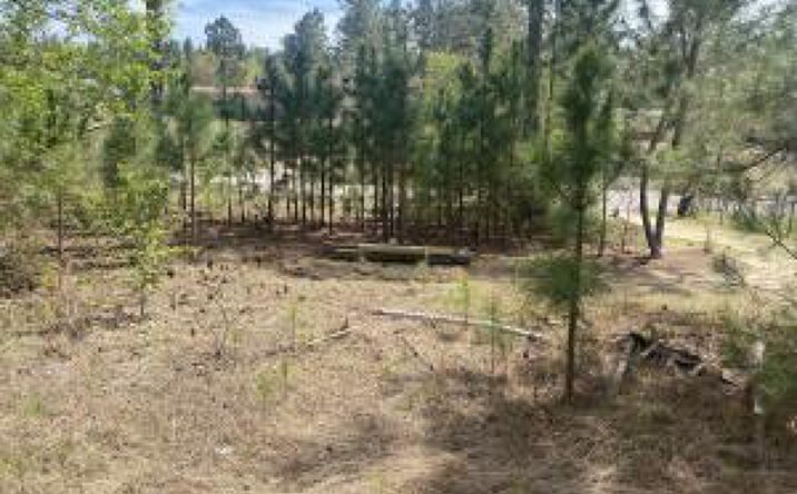 Pictures of Land property located at 160 Mayfield Road, Aiken, SC 29801 for sales - image #1