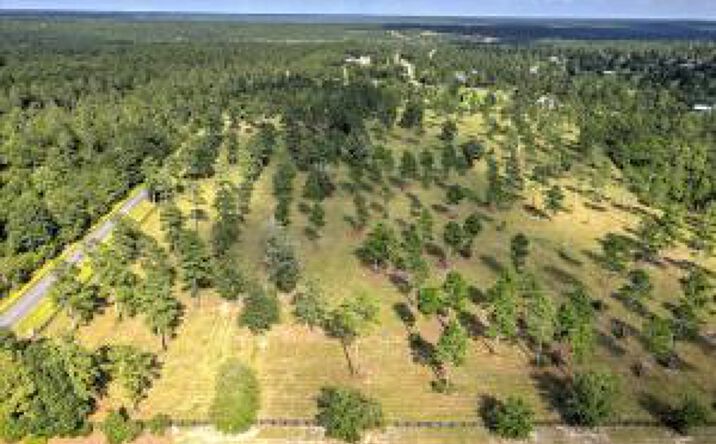 Pictures of Land property located at Lot 1 Paddock Club Parkway, Aiken, SC 29803 for sales - image #1