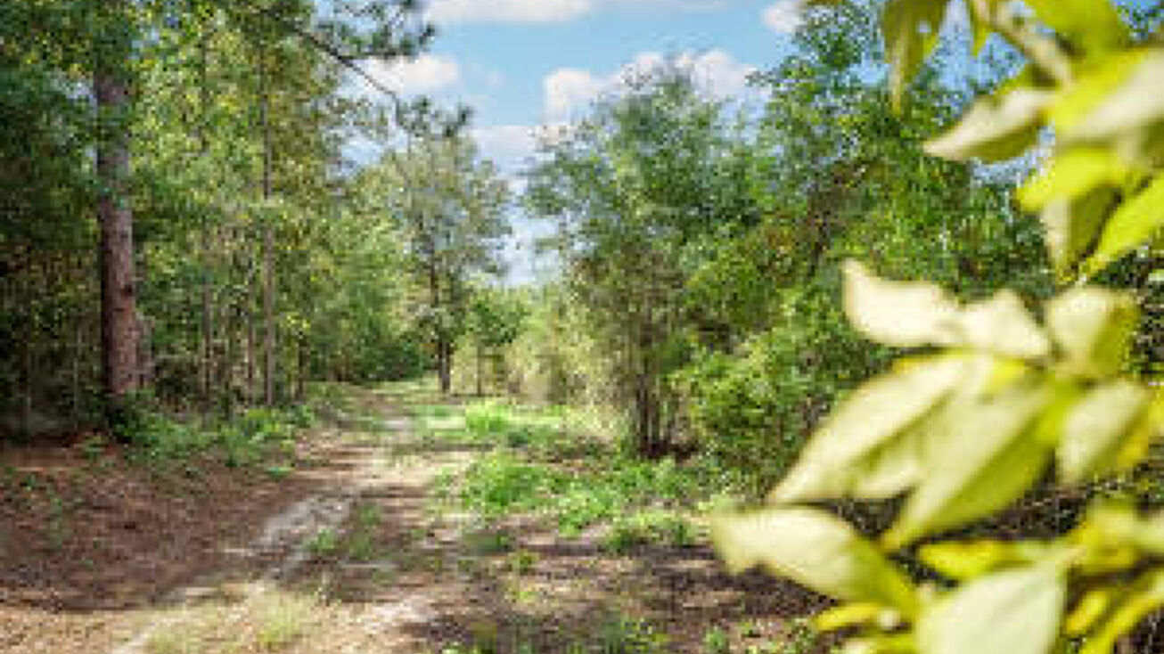 Lot 18 Barrington Farms Drive, Aiken, SC 29803