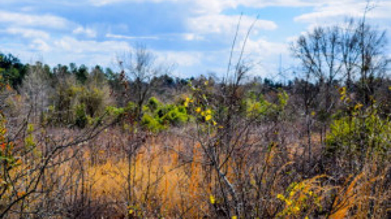 Lot 17 Cooks Bridge Road, Aiken, SC 29805