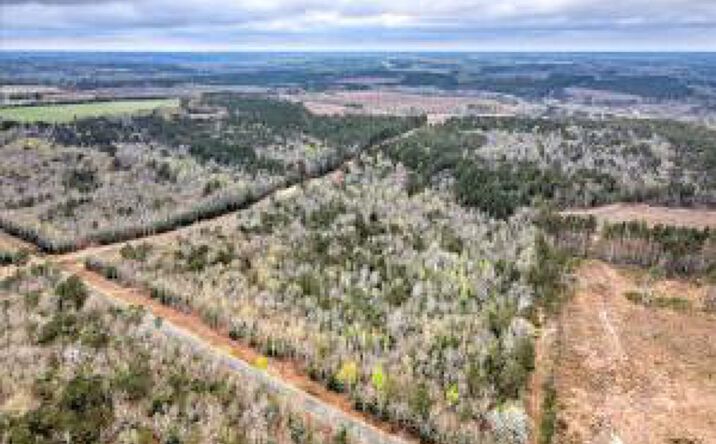 Pictures of Land, Special Purpose property located at Mile Bridge Road, Johnston, SC 29832 for sales - image #1