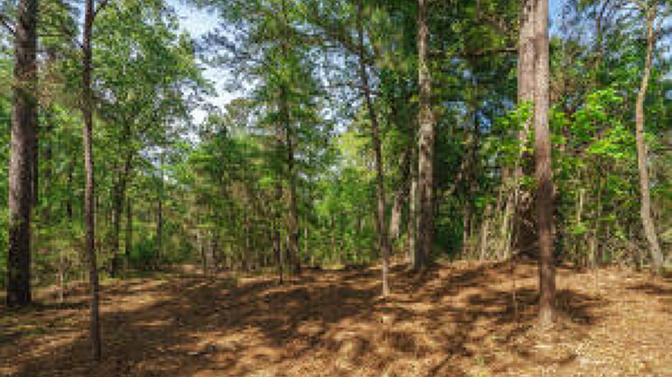 Lot 5 Banks Mill Road Road, Aiken, SC 29803