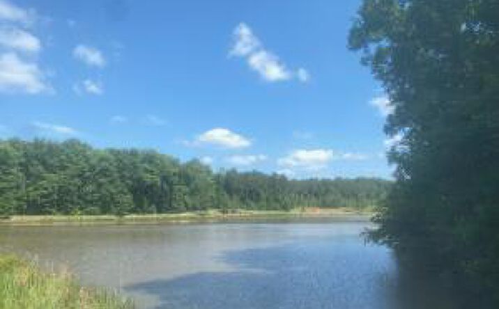 Pictures of Land property located at 312 Martintown Road, Edgefield, SC 29824 for sales - image #1