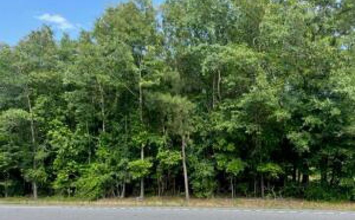 Pictures of Land property located at 11610 Highway 3, Barnwell, SC 29812 for sales - image #1