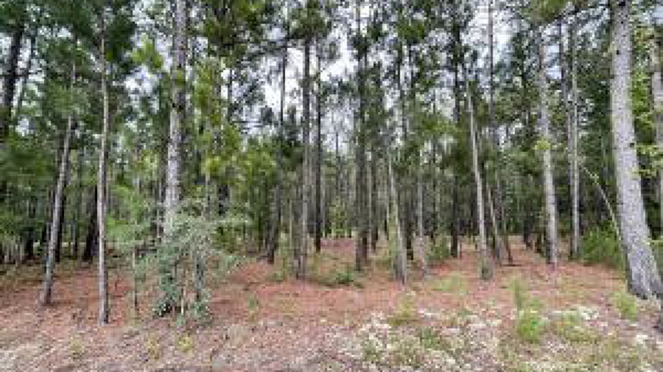 0 Chalk Bed Road, Graniteville, SC 29829