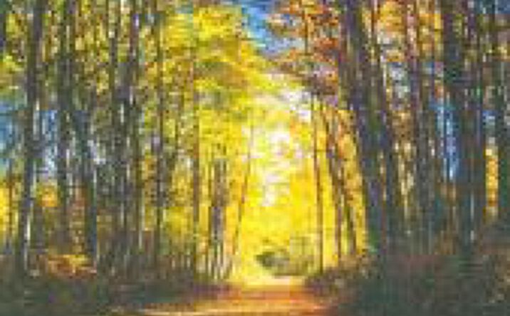 Pictures of Land property located at Lot 11 Bridlespur Lane, Windsor, SC 29856 for sales - image #1