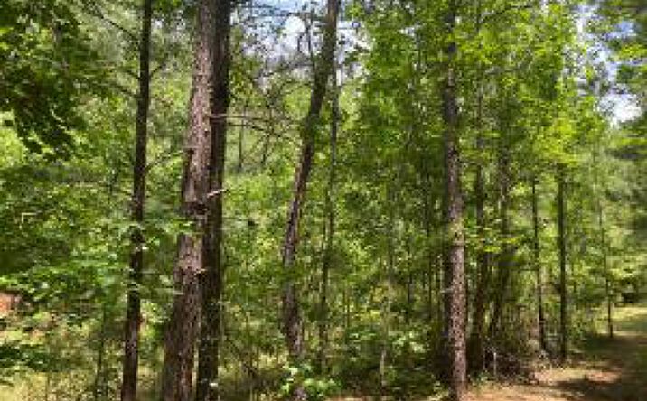 Pictures of Mixed Use property located at 0 Moore Road, Edgefield, SC 29824 for sales - image #1