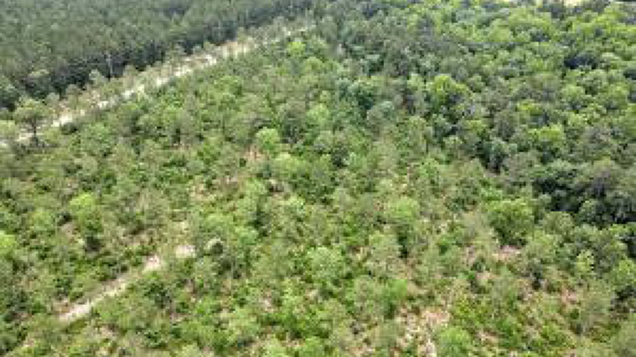 0000 Old Barnwell Road, Aiken, SC 29803