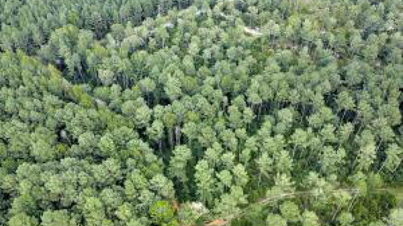 0000 Old Barnwell Road, Aiken, SC 29803