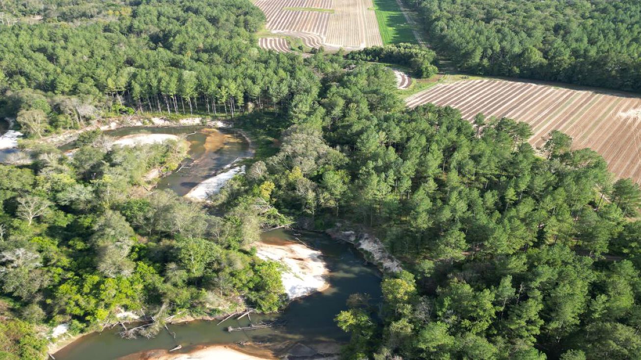 222 Gilmer Rd, Taylorsville, MS 39168