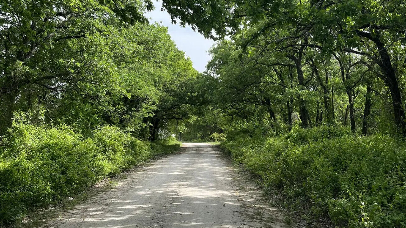 538 Murphree Rd, Saint Jo, TX 76265