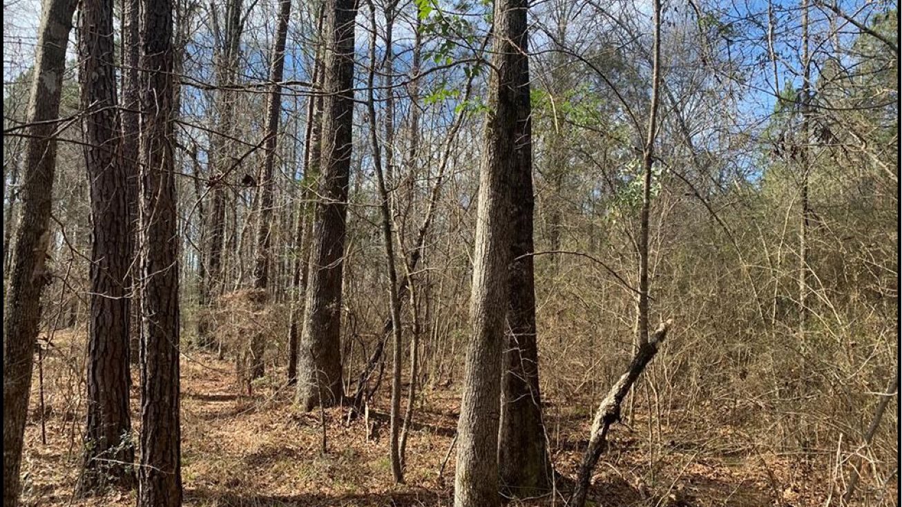 1048 Williamson Road, Wesson, MS 39191