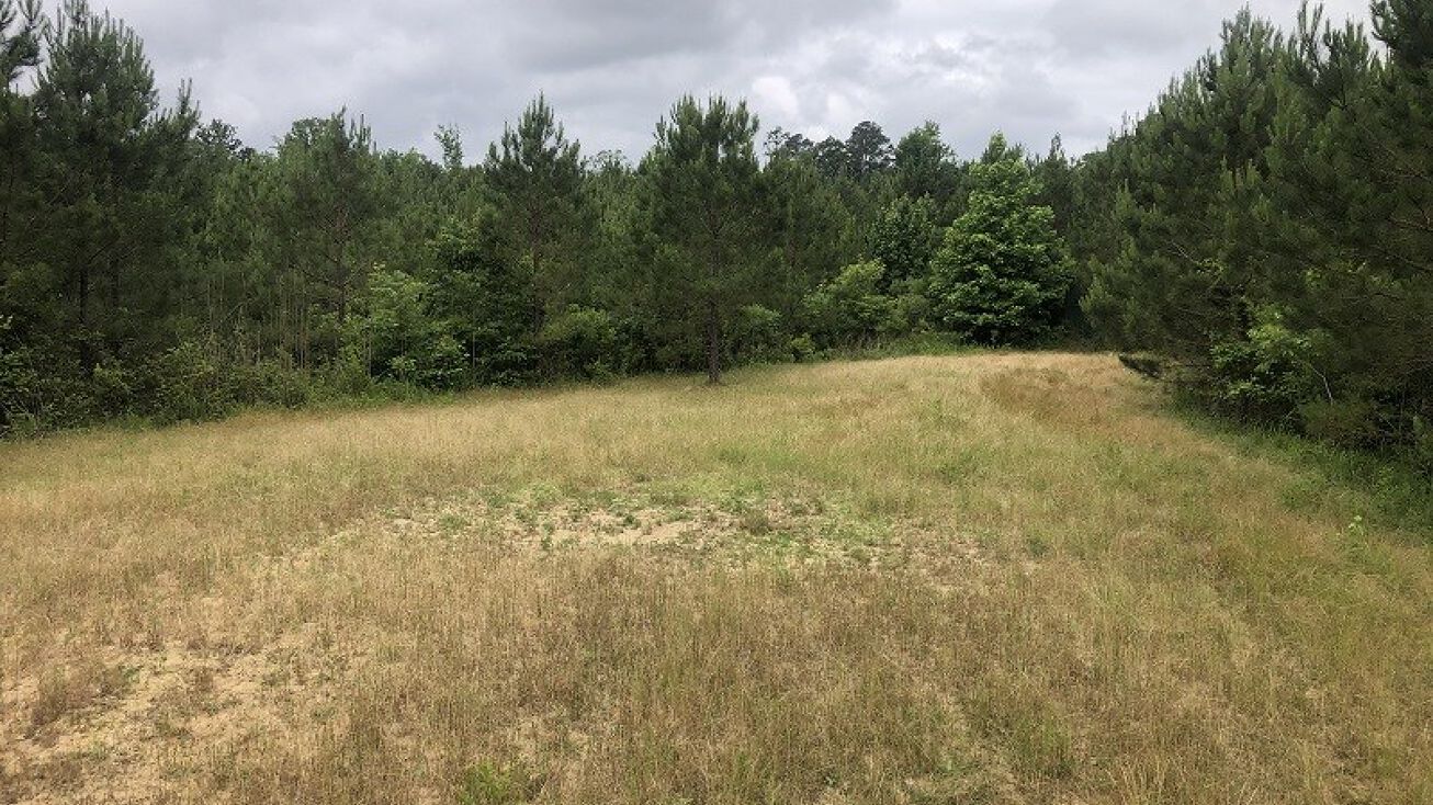 79.6 Acres in Holmes County, Durant, MS 39063