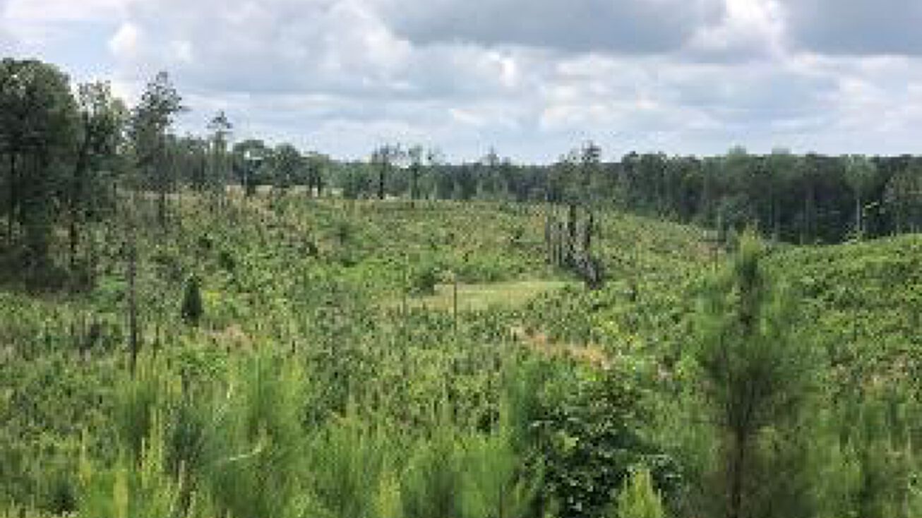 34.2 Acres in Attala County, Sallis, MS 39160