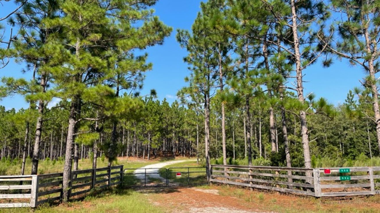 996 Rd, Kelly, NC 28448