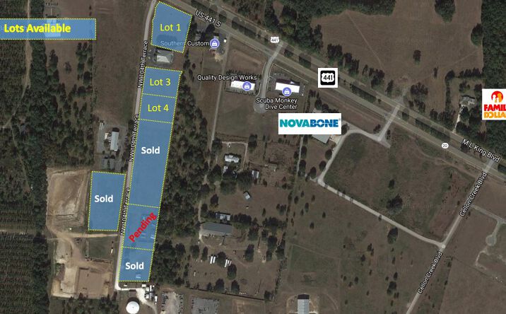 Pictures of Land property located at 13600 NW 104th Terrace, Alachua, FL 32615 for sales - image #1