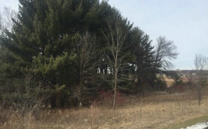 Pictures of Land property located at Lake & Gray Road, Windsor, WI 53532 for comps - image #1