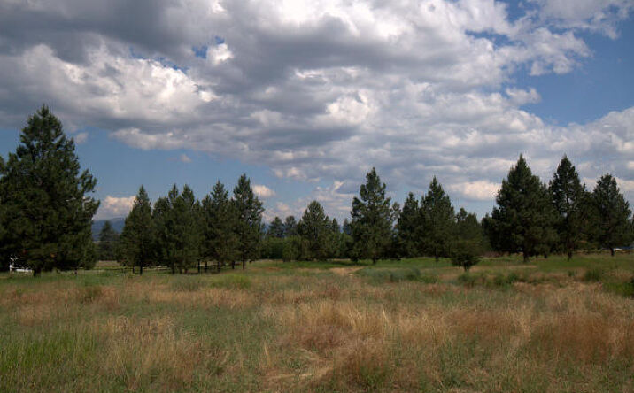 image of property at 19820 RAMBLING ROSE LN Florence MT 59833-6089