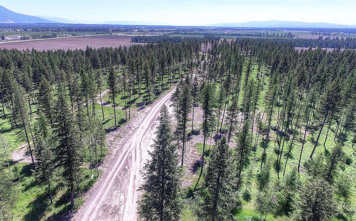 image of property at 1165 TIMBER RIDGE CT Columbia Falls MT 59912-8553
